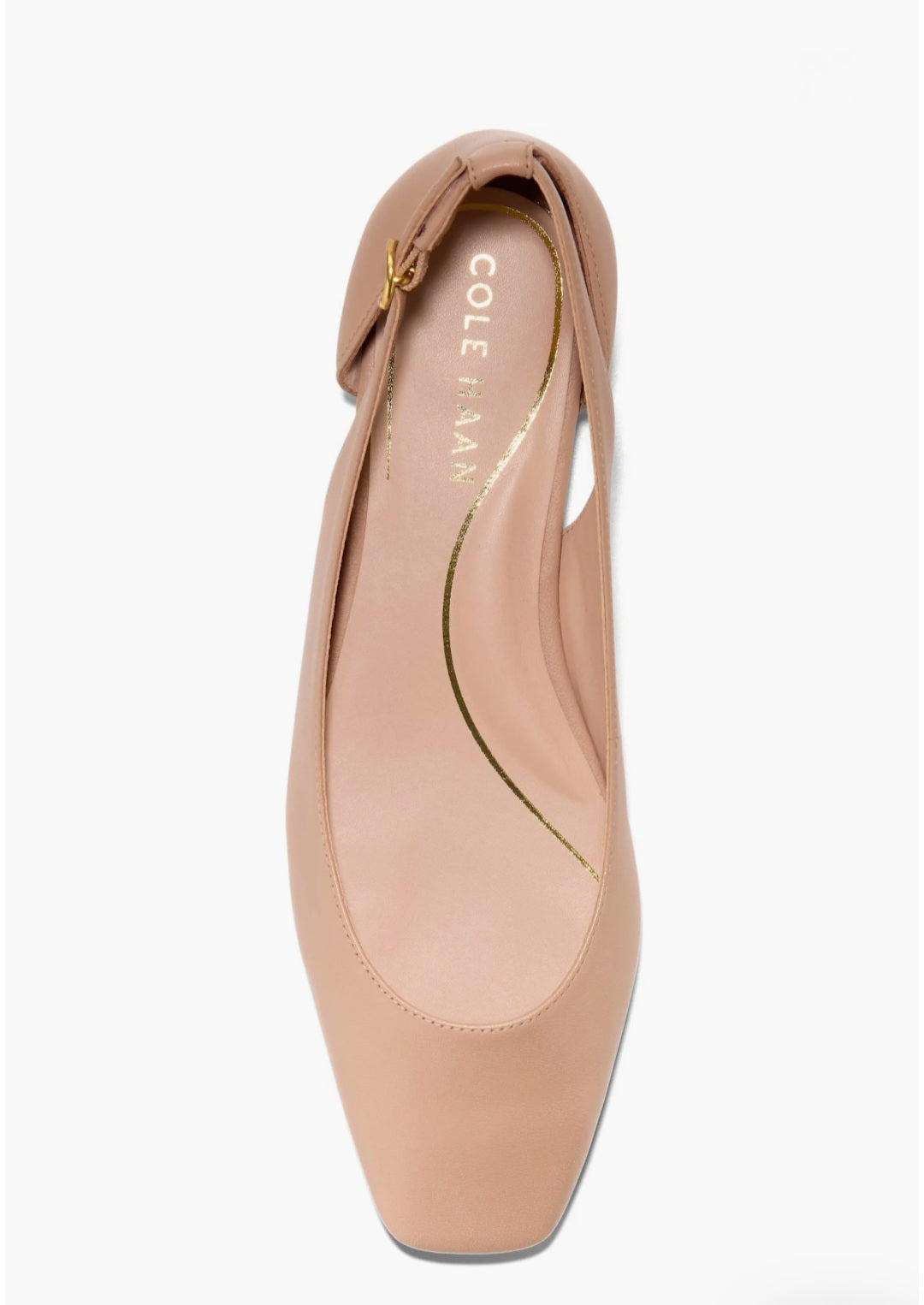 FLATS BALLET COLE HAAN EN PIEL